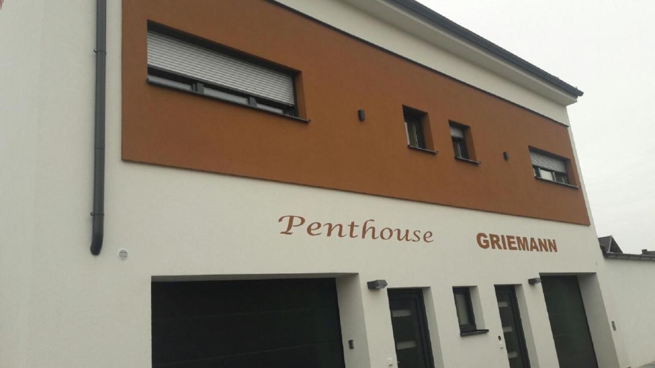 Penthouse Griemann 1 Mit Infrarotkabine Und Eigener Dachterrasse Fuer Max 4 Personen Illmitz Exterior photo